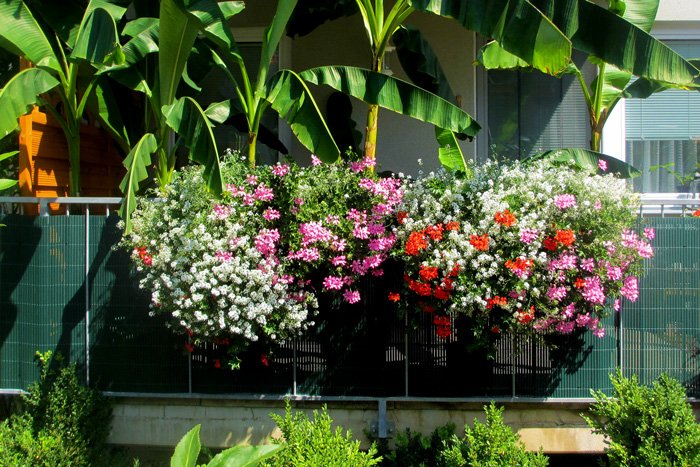 grau Balkon und Terrasse jarolift PVC Sichtschutzmatte/Sichtschutzzaun für Garten 80 x 300 cm